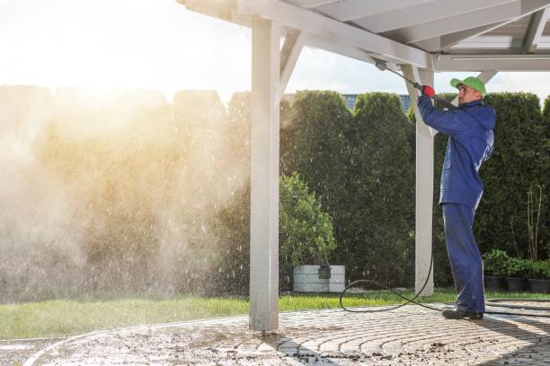 Best Animal Enclosure Cleaning  in Shady Hills, FL